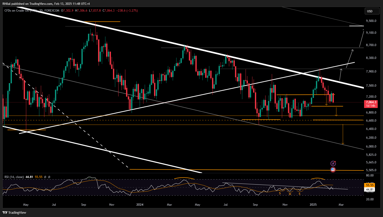 Oil Forecast: USOIL_2025-02-13_11-48-33