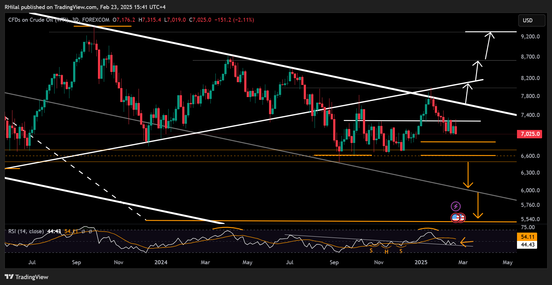 Crude Oil Week Ahead: USOIL_2025-02-23_15-41-26
