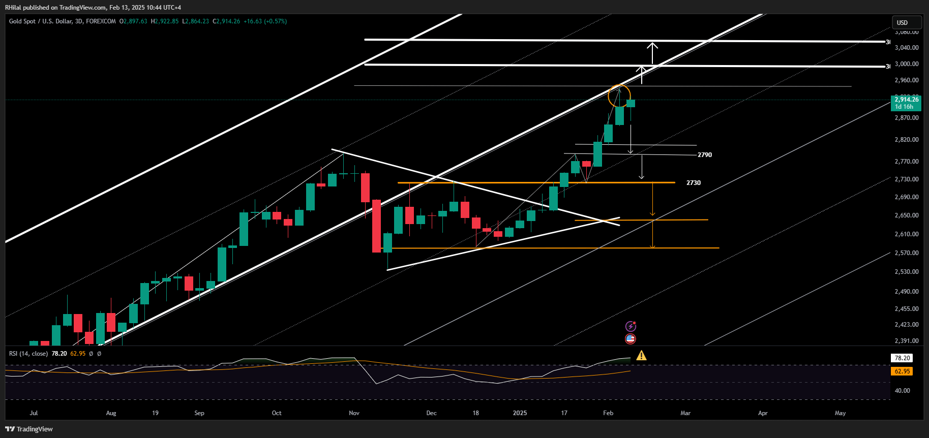 Gold Forecast: XAUUSD_2025-02-13_10-44-54